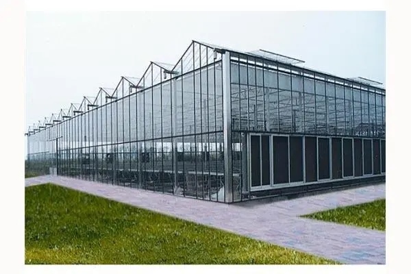 玻璃温室大棚内该如何施肥？